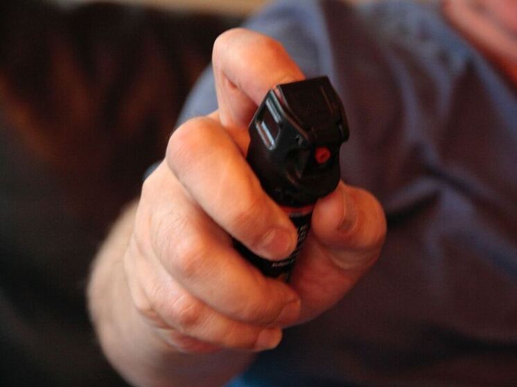 Петербуржец распылил газ и бросил дымовую шашку в БЦ из-за задержки зарплаты