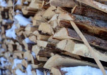 23 ноября — особенная дата в народном и церковном календаре. В этот день переплелись традиции почитания двух групп святых: мученика Ореста Тианского и шести апостолов от семидесяти (Ераста, Родиона и других). Этот рубеж между осенью и зимой, который в народе называли «Орестов день» или «Родион Ледолом», наполнен важными указаниями, как провести день, чтобы привлечь благополучие и избежать неприятностей.