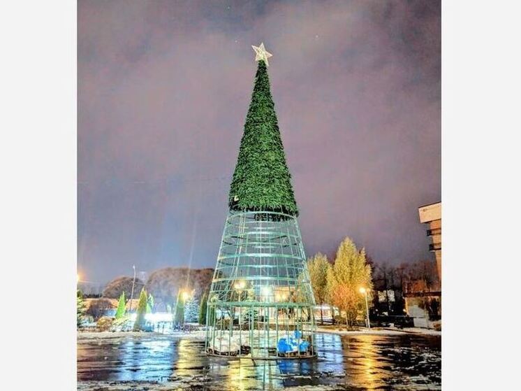 В Отрадном установили городскую елку