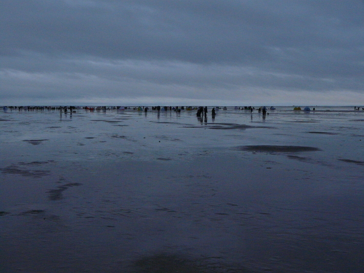 Погода в Поморье: ветер юго-западный и южный