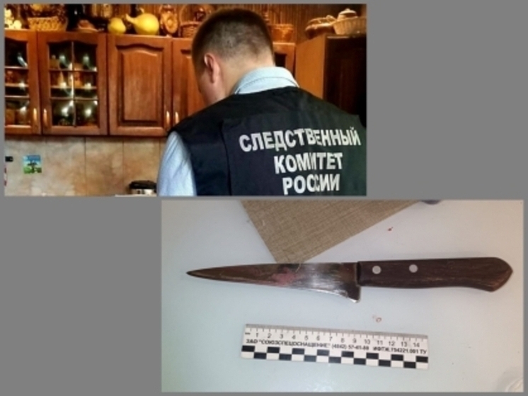 В Тамбовском округе возбуждено уголовное дело по факту гибели женщины
