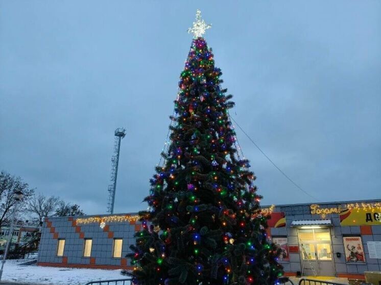 В Кудрово и Янино появились пушистые зеленые красавицы