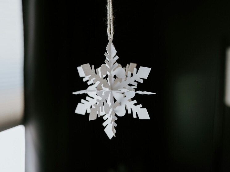 Липецкий зоопарк объявил конкурс «Снежинка для зоопарка»