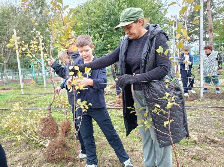 В Ставропольском крае заложили первый в Пятигорске суперинтенсивный школьный сад