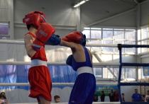 Открытое первенство по боксу памяти Героя России Дениса Дементьева на призы областного отделения всероссийской общественной организации «Боевое братство» прошло в Пскове 22 ноября на территории спортивного комплекса 76-й дивизии ВДВ