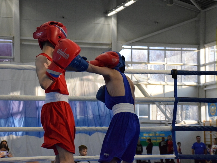 Открытое первенство по боксу памяти Героя России Дениса Дементьева на призы областного отделения всероссийской общественной организации «Боевое братство» прошло в Пскове 22 ноября на территории спортивного комплекса 76-й дивизии ВДВ