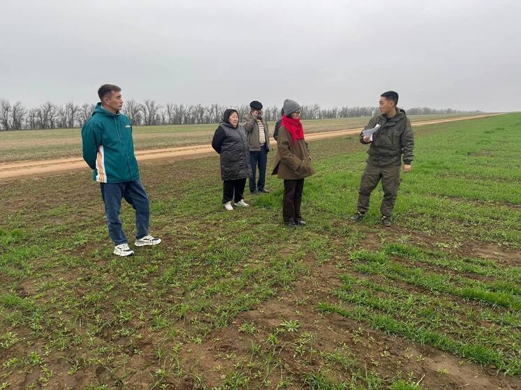 Калмыцкие аграрии осваивают цифровые сервисы и современные технологии