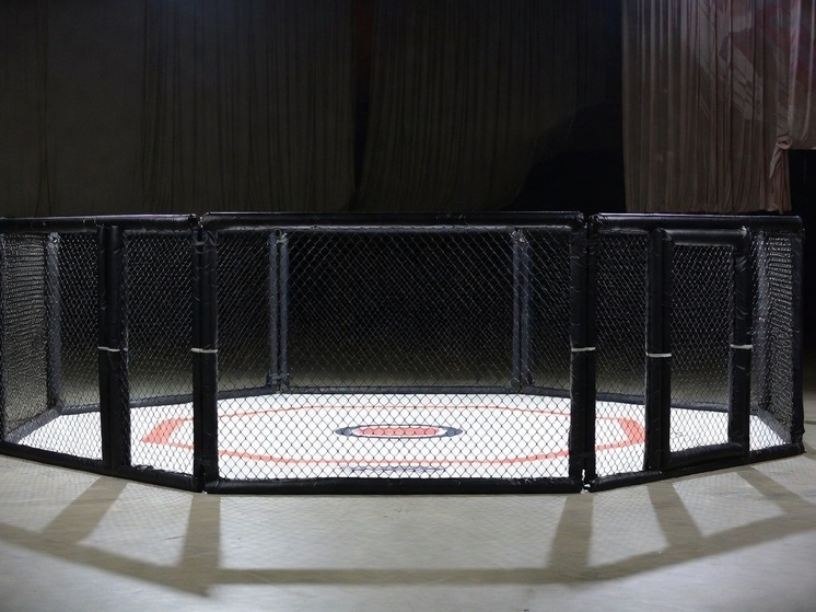 Сайгид Изагахмаев проиграл дебютный бой в UFC датчанину Далби