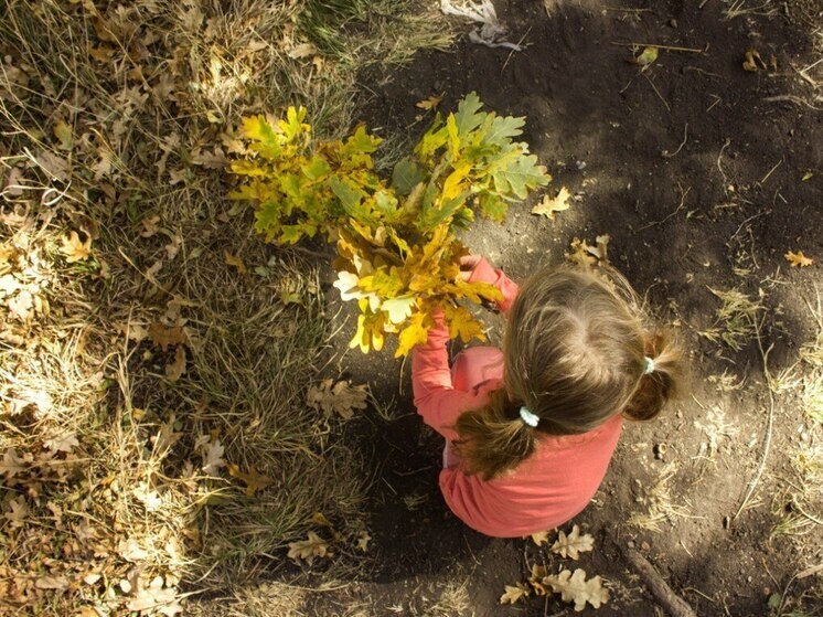 Воспитание детей подарило прибавку к пенсии 8,6 тысячам калининградцев