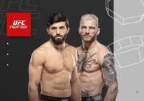 Армянский боец провел красивейший удушающий прием. 