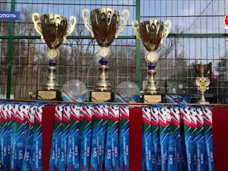 Команда Минспорта Запорожской области стала победителем финала мини-футбольной лиги