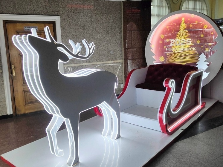 Стали известны топ-направления зимнего туризма в Новосибирской области