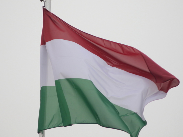 Посол Станиславов: Украина может повлиять на выборы в Венгрии в 2026 году