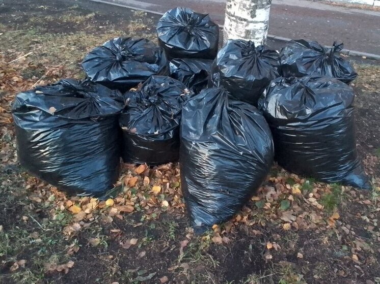 Калининградские прихожане вышли на субботник в храме святой Лидии