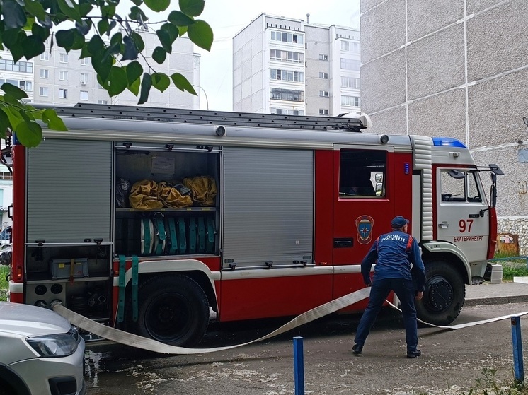 При пожаре в свердловской деревне Чикунова погиб человек