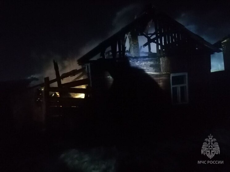 В Омске на пожаре в частном доме погиб мужчина