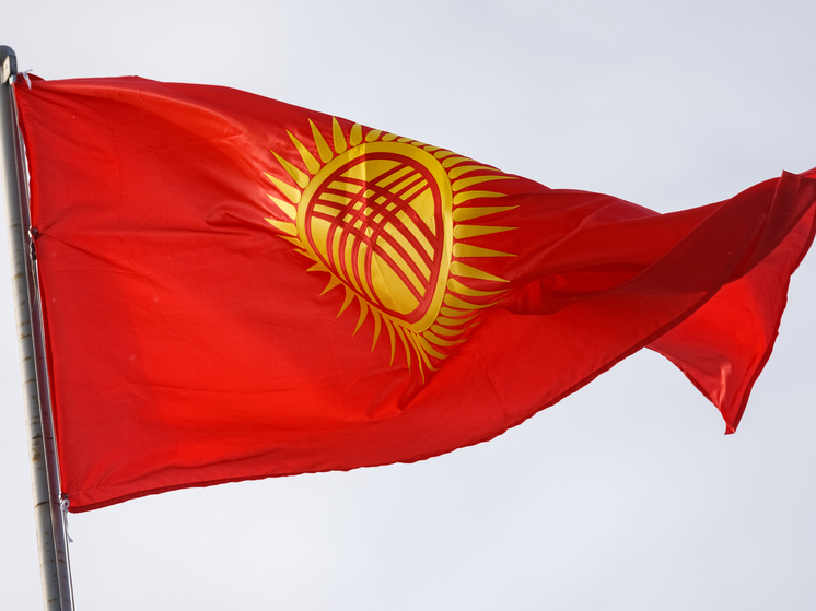 Киргизская полиция задержала 10 человек по подозрению в подготовке беспорядков после выборов