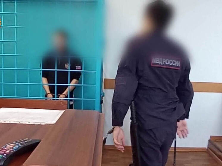 Обвиняемого в смертельном ДТП в Чите отправили в СИЗО