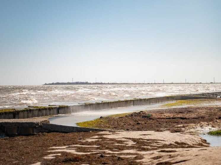 В Херсонской области на сегодня прогнозировали +19 градусов и туман