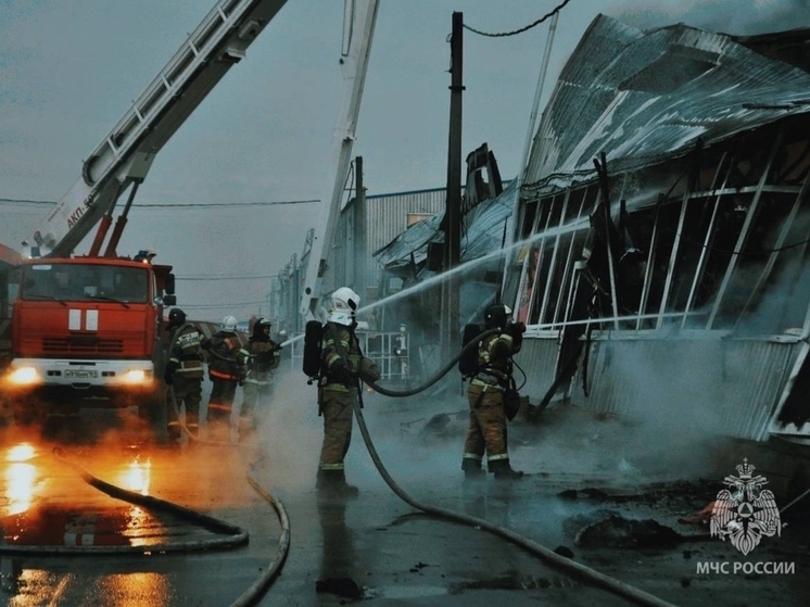 В Ростовской области за сутки 22 ноября потушили семь пожаров и спасли одного человека