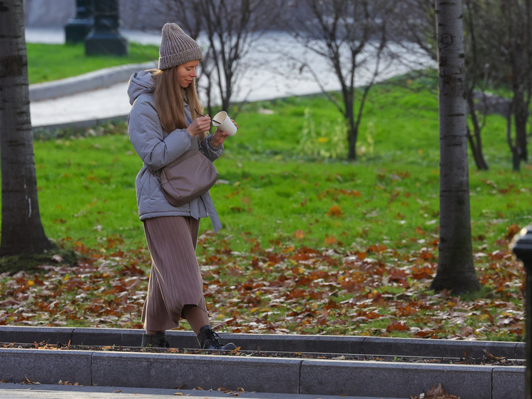 Вильфанд: воздух с Атлантики принесет потепление в Москву, температура поднимется до +5 градусов