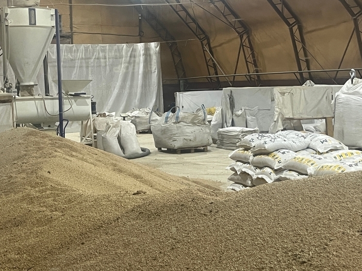 На Орловщине продолжается уверенный рост агропромышленного комплекса