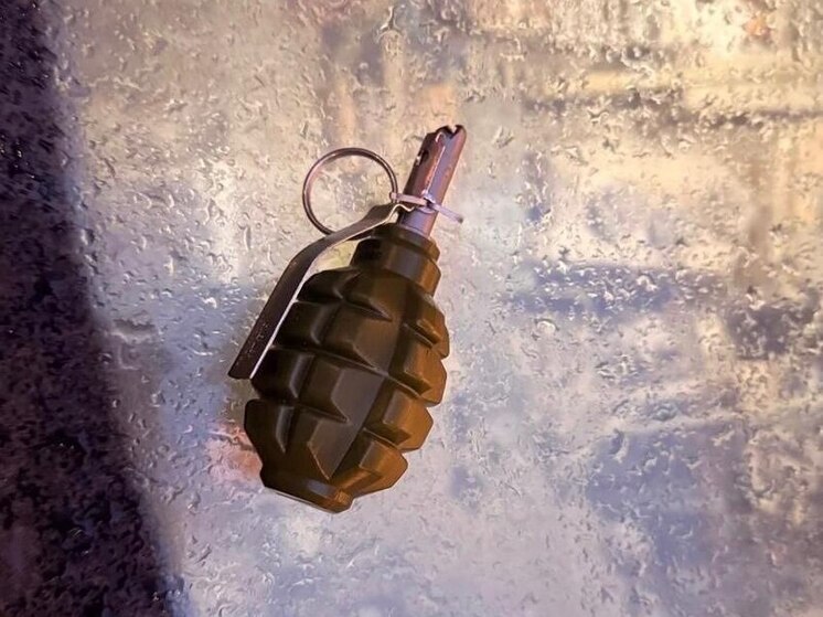 В одном из отелей Петербурга неизвестный вымогал деньги у персонала с гранатой