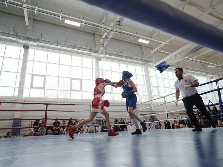 Волгоградки выиграли медали на всероссийском турнире по боксу