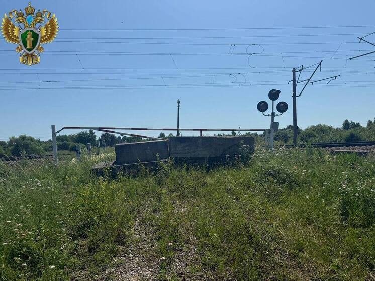 Проезд перегона «Аур - Ин» Дальневосточной железной дороги откроют благодаря прокурору