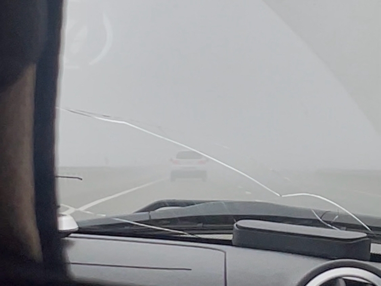 Водителей предупредили о густом тумане на дорогах Ростовской области утром 23 ноября