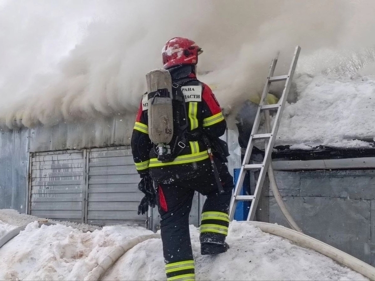 В Никеле пожарные потушили возгорание в гараже за 18 минут
