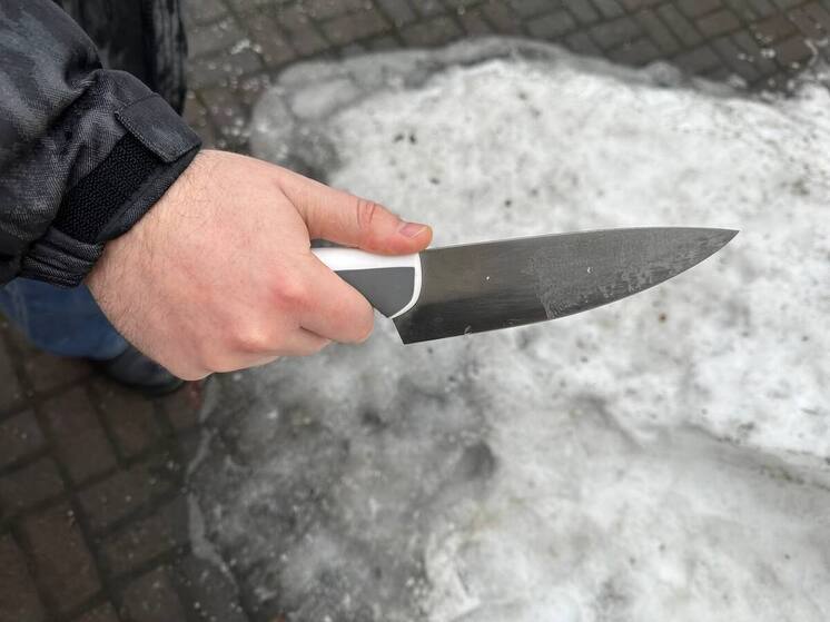 В Тосно задержали подозреваемого в нападении на женщину