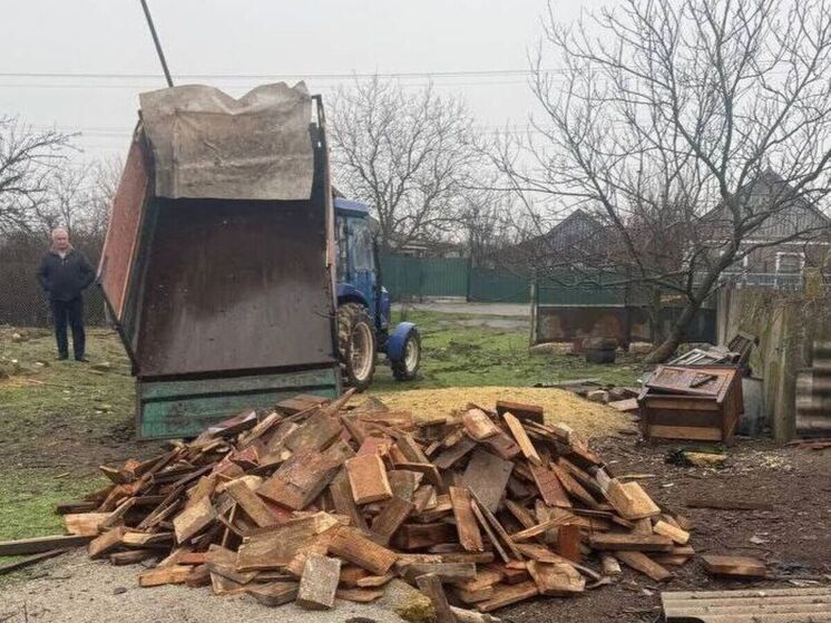 В Нижнесерогозском округе единороссы помогли с дровами семье участника СВО