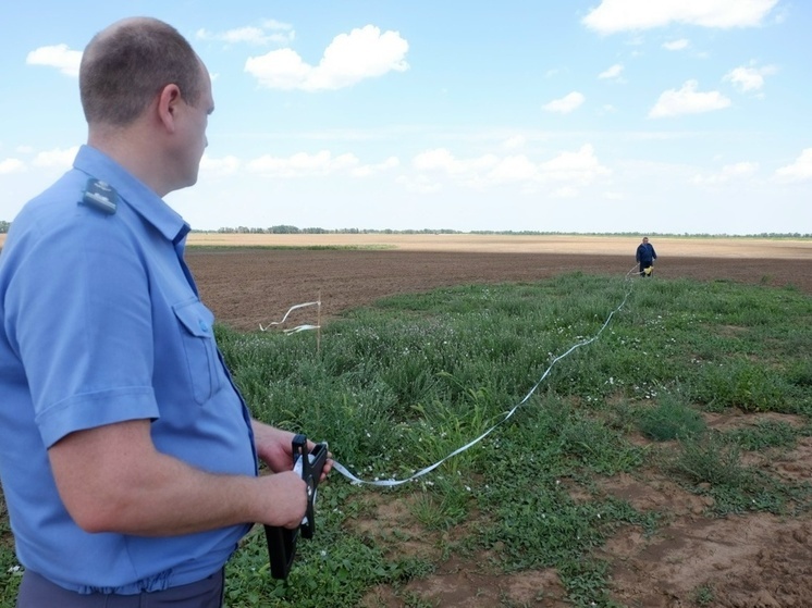 Опасный карантинный сорняк найден в Астраханской области
