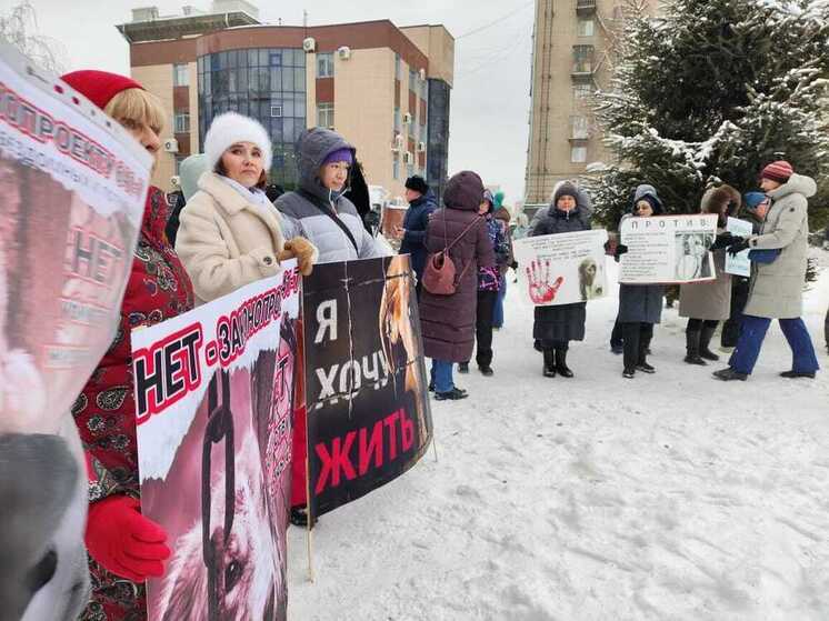 В Новосибирске прошел митинг против закона об эвтаназии бездомных животных