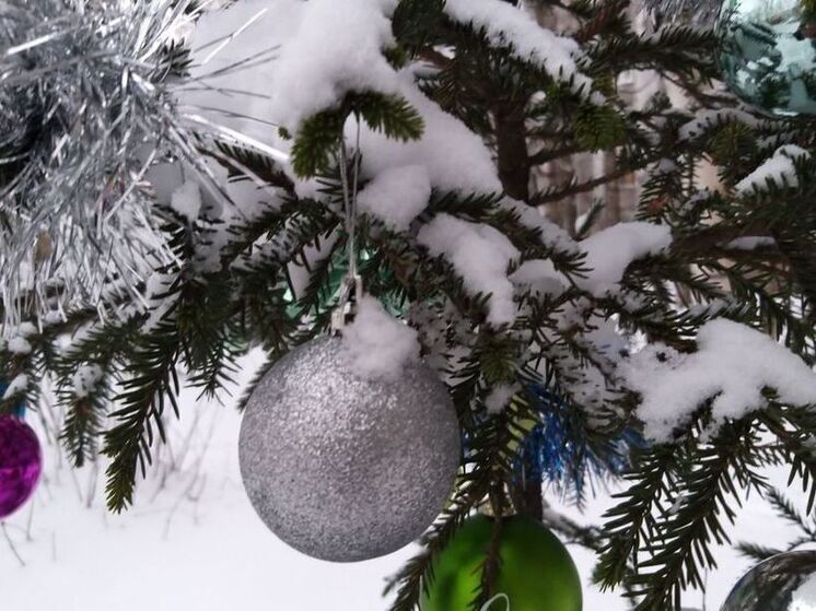 В Полярных Зорях зажгут огни на главной елке