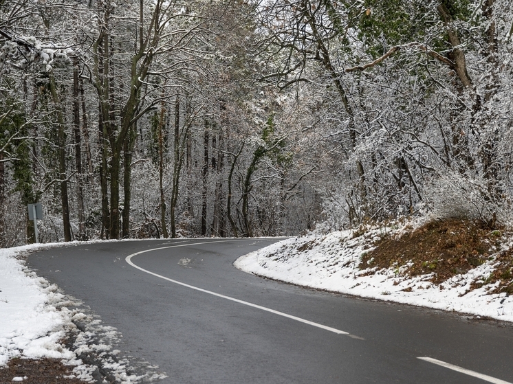Под Брянском в ДТП перевернулась иномарка: пострадала женщина