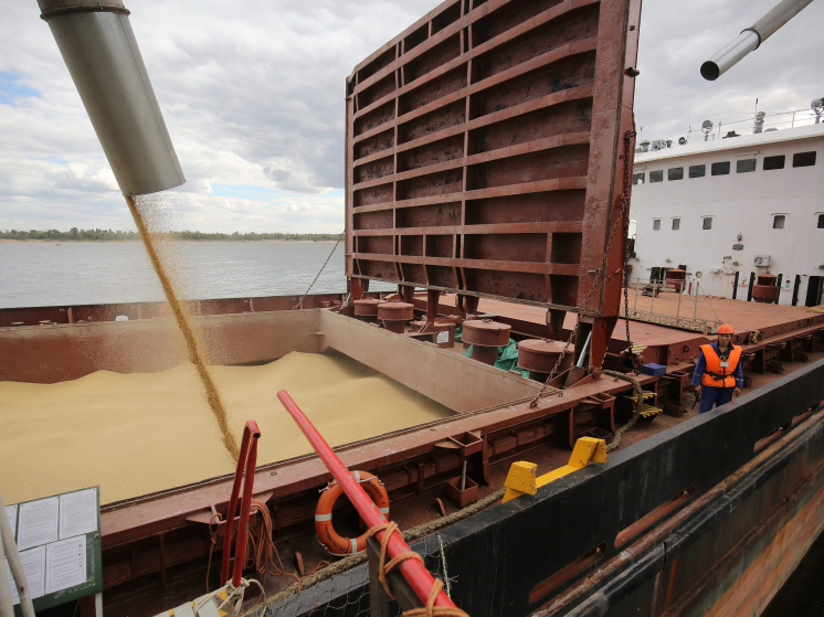 Волгоградские предприятия наращивают объем поставок за рубеж