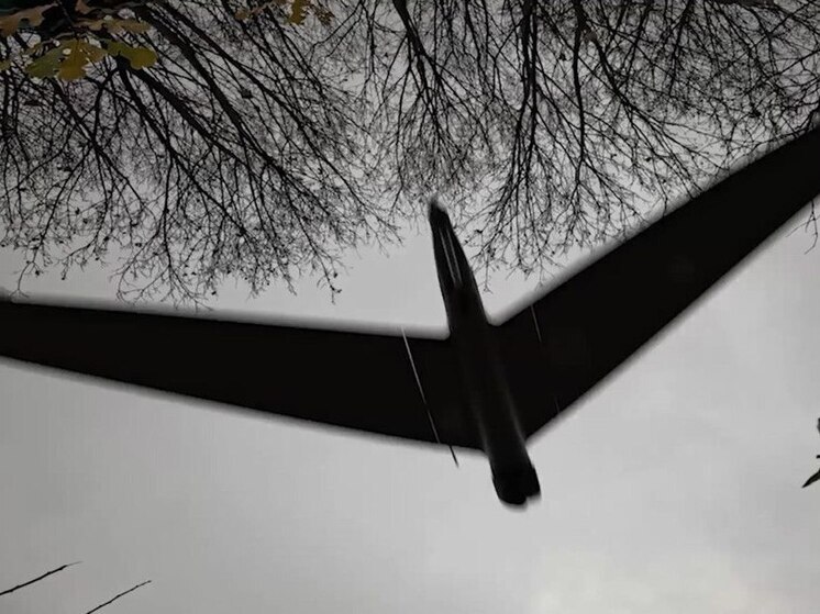 Британская пресса подсчитала, во сколько обошлась оборона НАТО от беспилотников