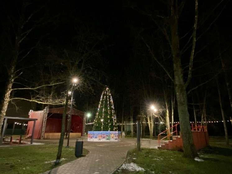 Ильинский парк в Сольцах украсили к новогодним праздникам