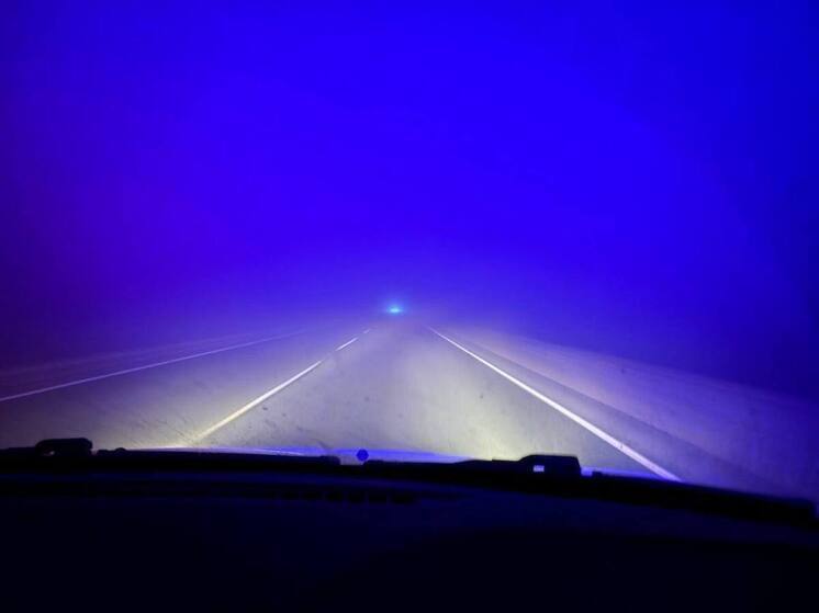 Автомобилистов предупредили о тумане