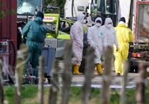 В США зарегистрирован первый в истории случай смерти от от редкого штамма птичьего гриппа H5N5