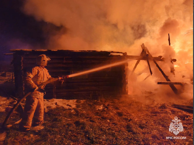 В Новгородской области 22 ноября дотла сгорели два дома