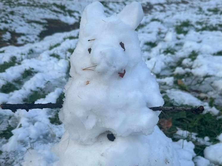 В Саранске выпало рекордное количество осадков за минувшие 24 часа