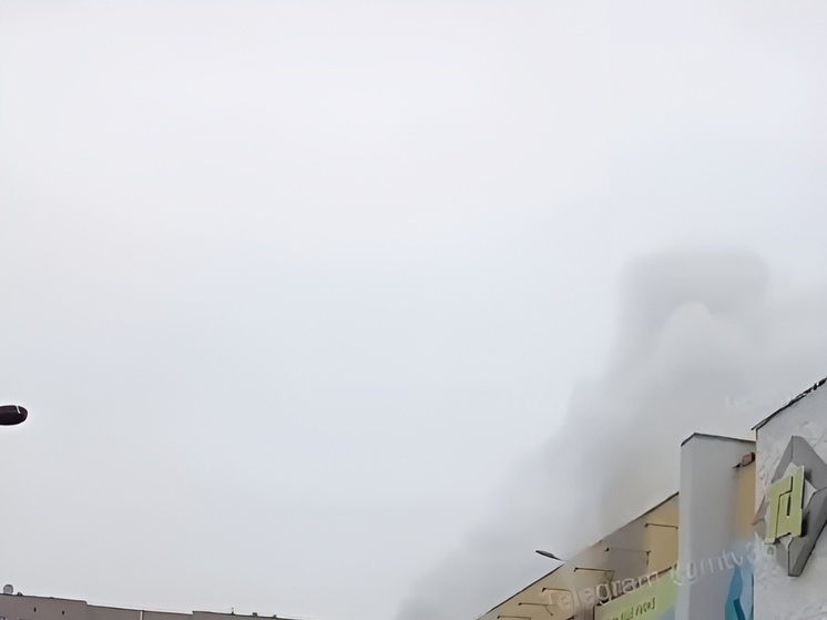 Пожар в магазине одежды локализован в Нововоронеже через полтора часа