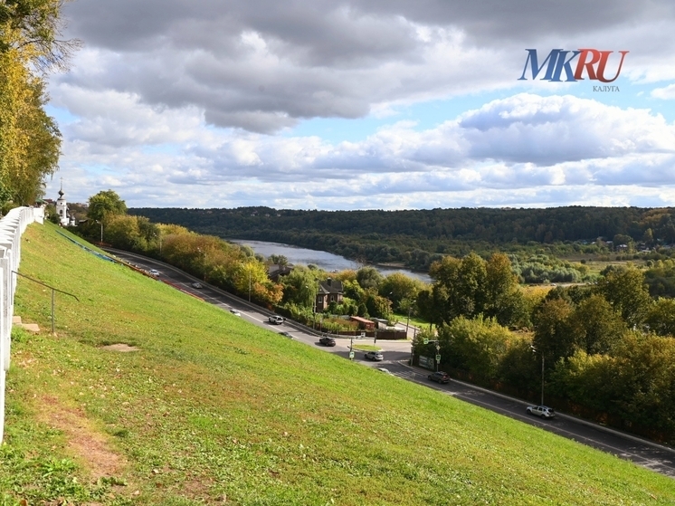 Калужский «Феникс» ищет автоволонтёра для доставки последнего неулетевшего аиста