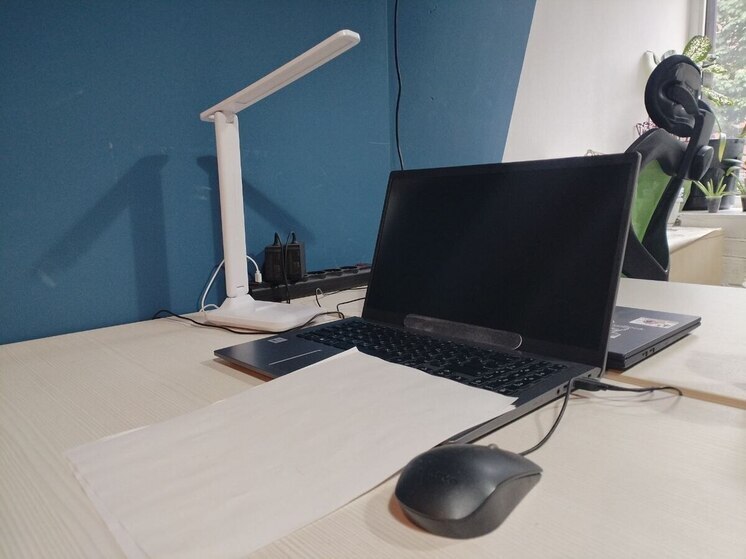 Почти 60% мурманчан поддерживают «тайный» поиск работы