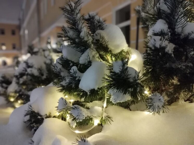 Колесов предупредил петербуржцев о снегопаде в начале новой рабочей недели