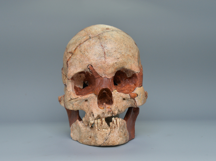 В порту Бостона нашли человеческий череп, замурованный в бетон