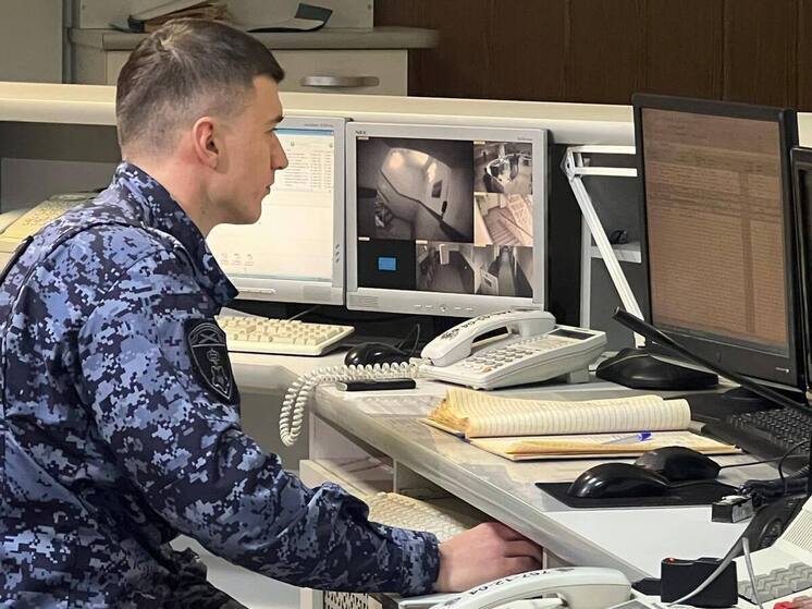 Против метателя гранат и вымогателя криптовалют в Петербурге завели «уголовку»